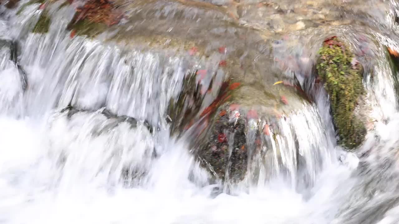 流水在石缝间，长满青苔视频素材