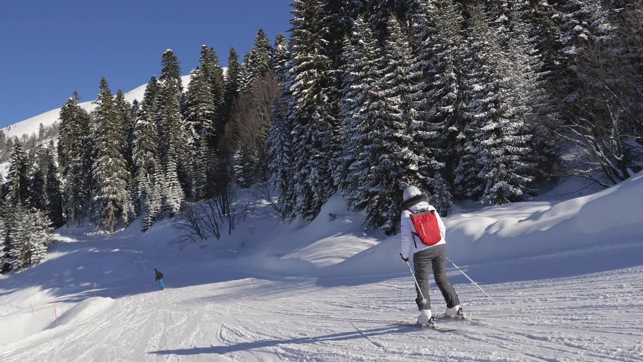 冬季，一名女子滑雪者在有松树的山上滑下雪道视频素材