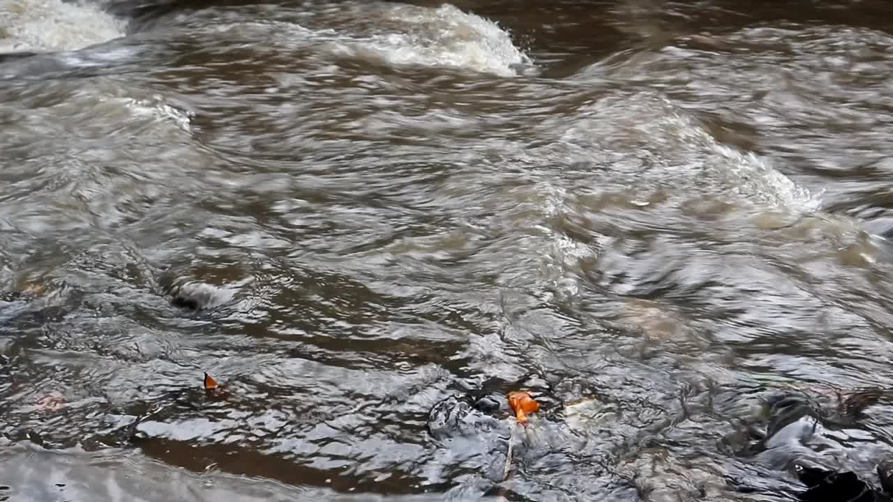 水:在河里流动的水视频下载