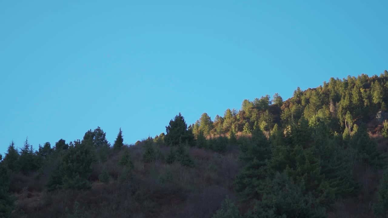 在印度喜马偕尔邦的马纳里，落日时分，最后一缕阳光落在山上的树顶。夕阳西下时，最后一缕阳光洒在山顶的树梢上。视频素材