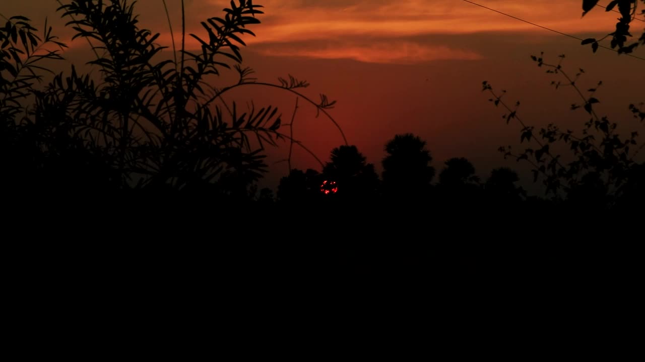 日落黄昏，红色的天空树木自然景观视频素材