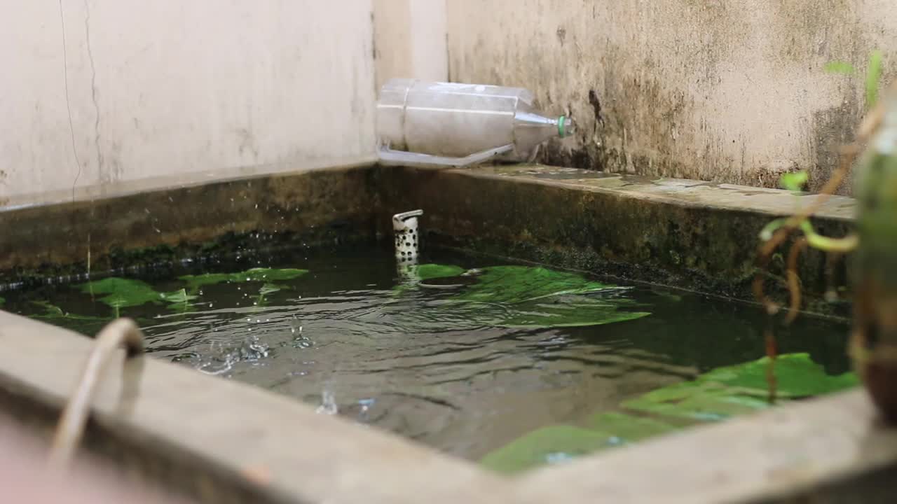 雨水视频素材