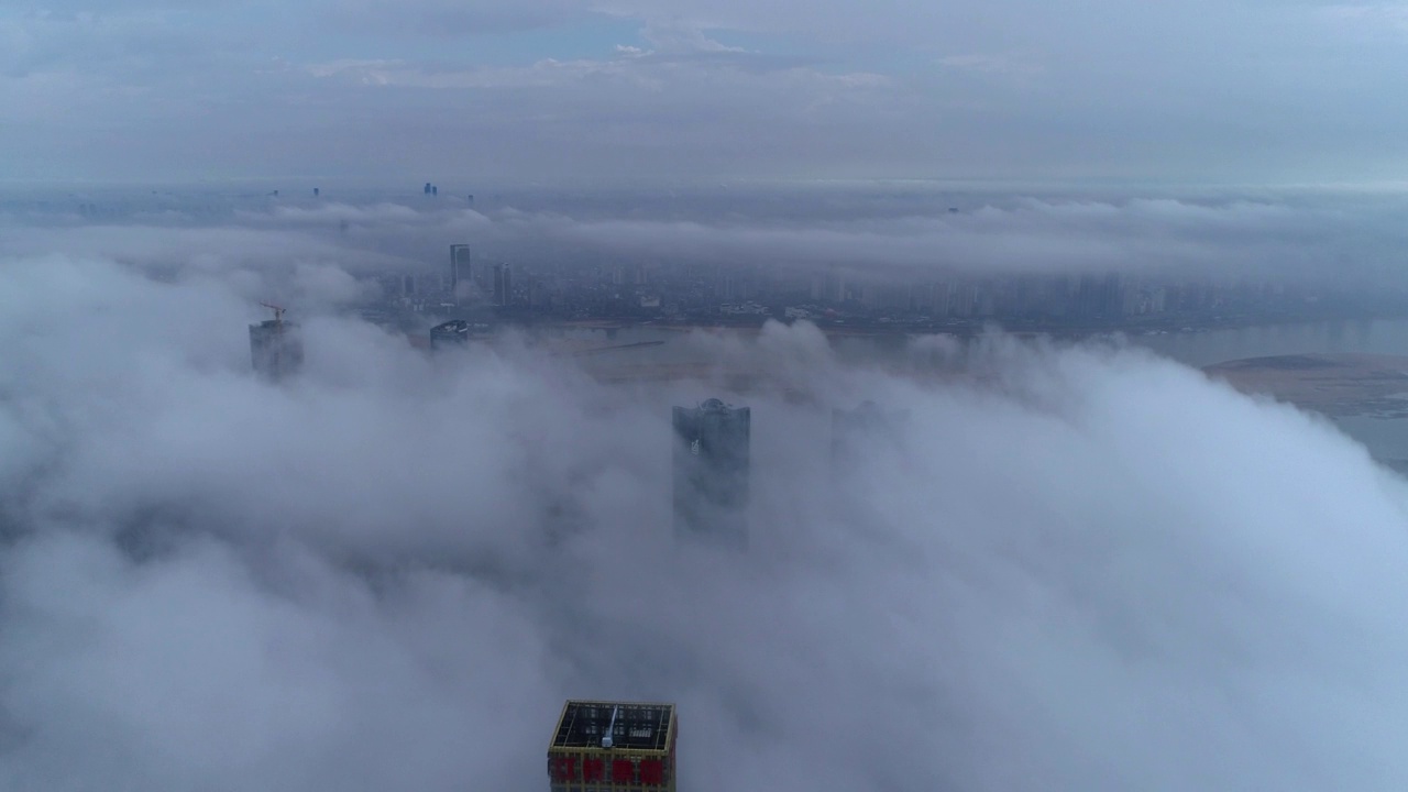 现代城市地标景观鸟瞰图，平流雾，上海，中国视频素材