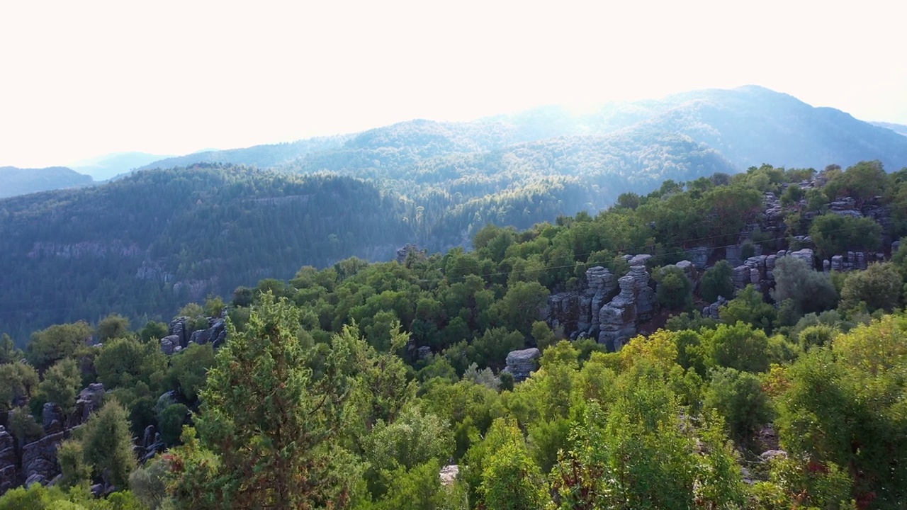 夏日的山景。有岩石的森林山坡。视频素材