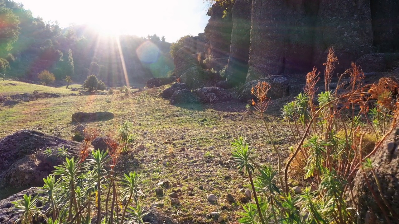 夏日阳光下的山谷景观和岩层。视频素材