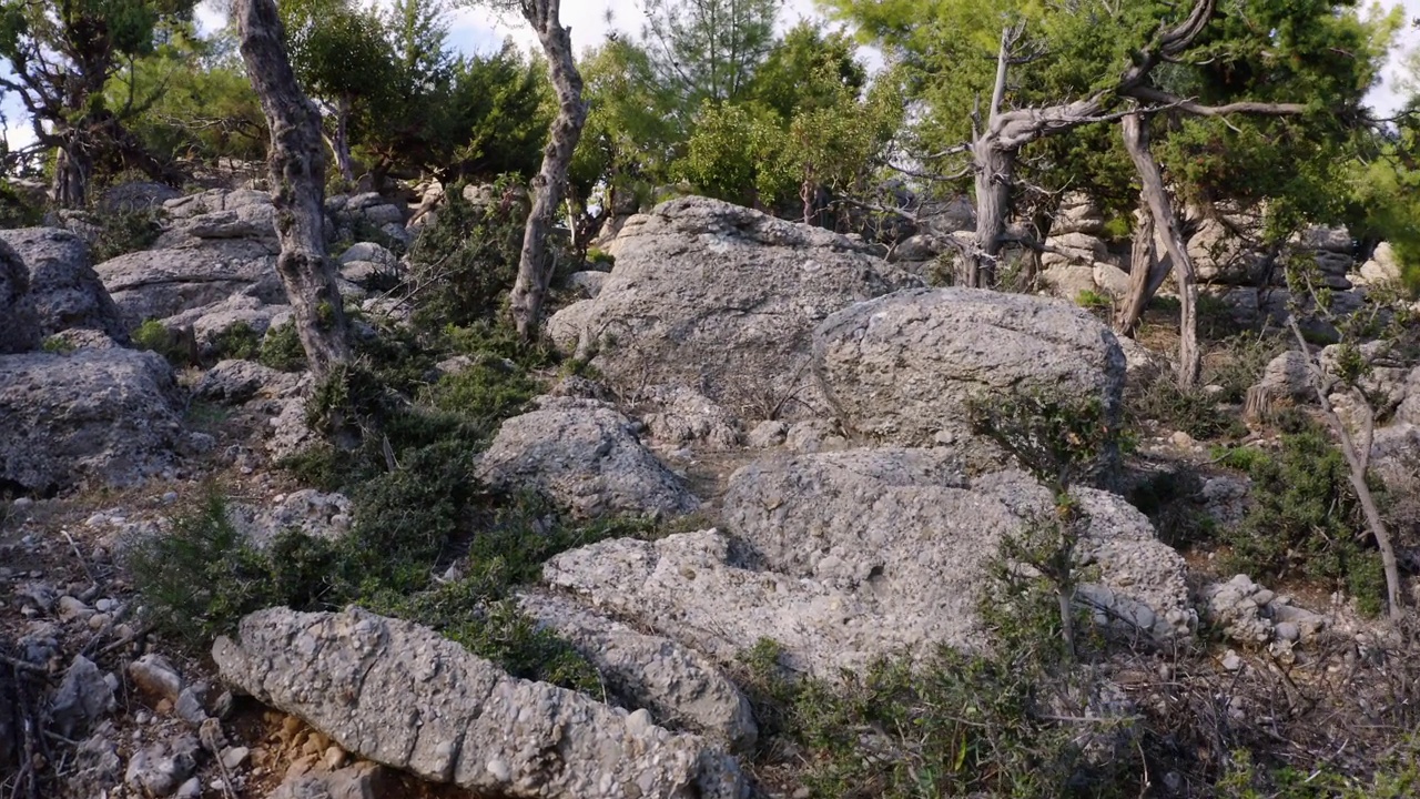 夏日里，灰色的岩石和绿色的树木构成了美丽的风景。视频素材