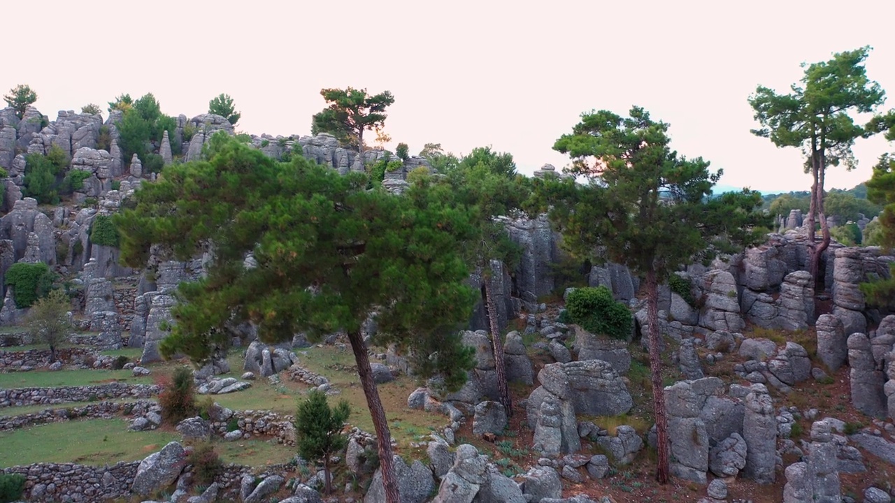 夏日，鸟瞰风景如画的岩层和松树。视频素材