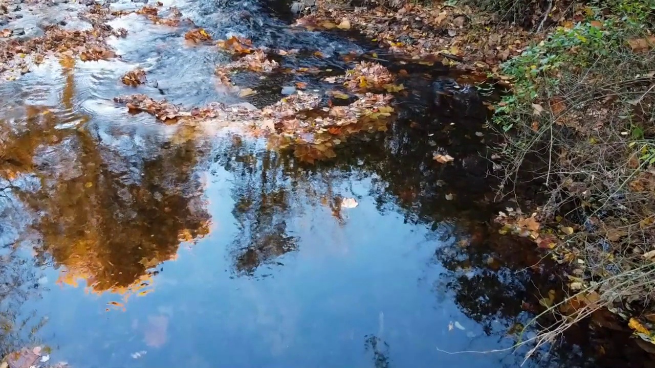 盘旋在秋叶潺潺的溪流上视频素材