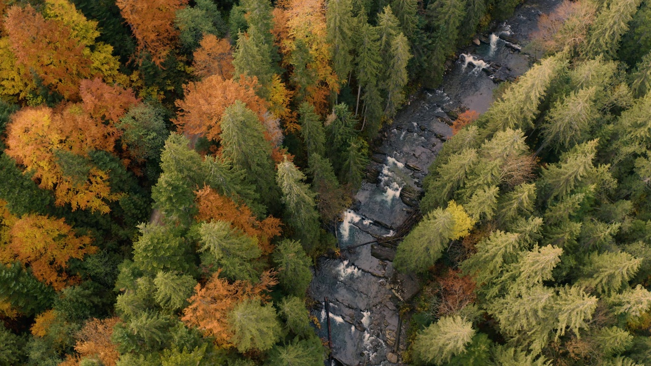 河流在秋天的山林里。无人机的观点。视频下载