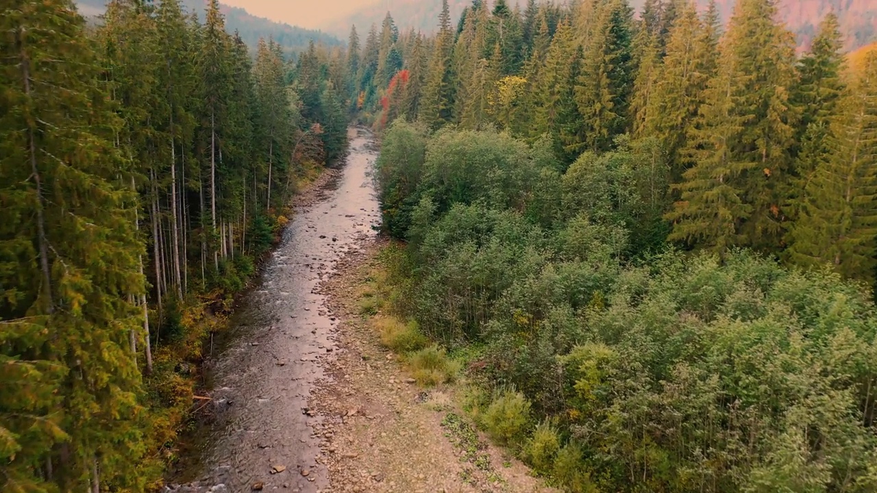 河流在秋天的山林里。无人机的观点。视频素材