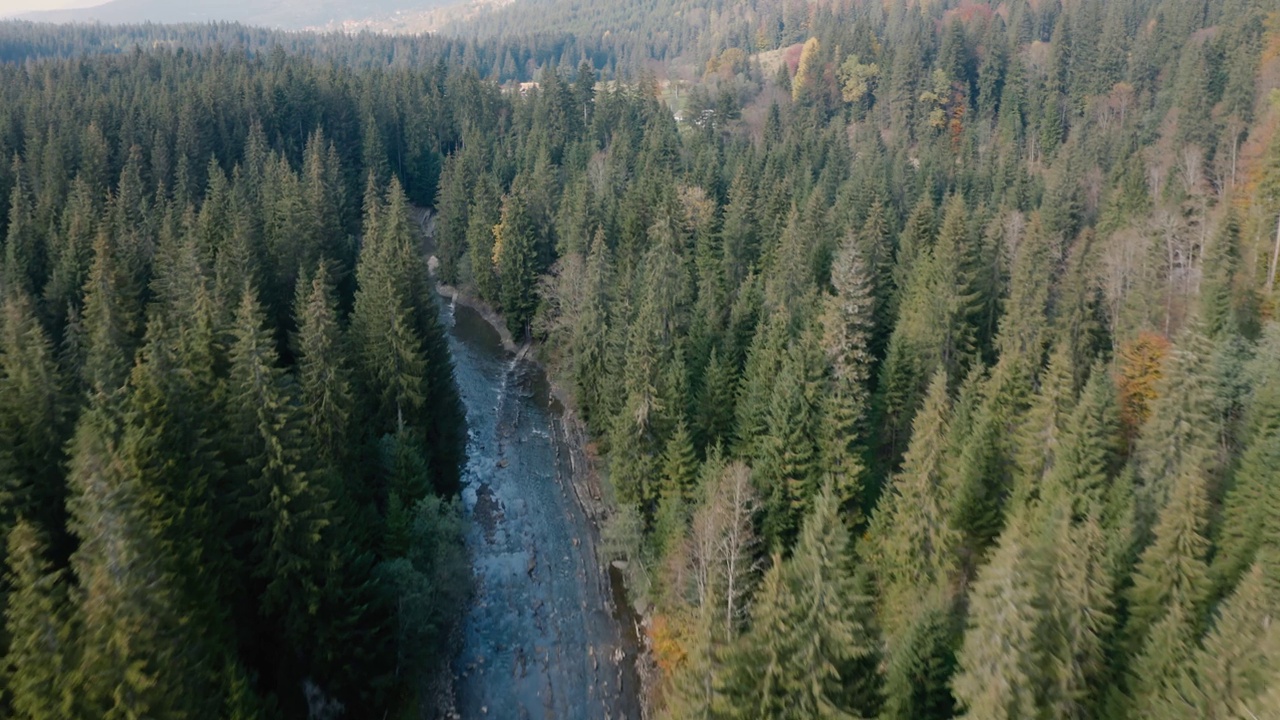 河流在秋天的山林里。无人机的观点。视频下载