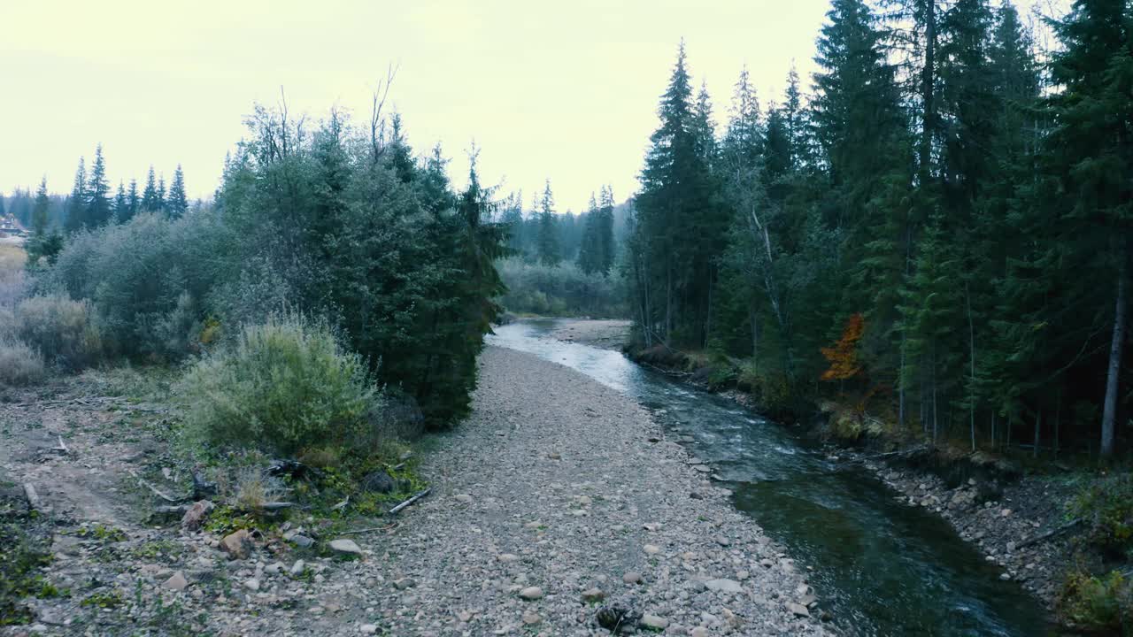 河流在秋天的山林里。无人机的观点。视频素材
