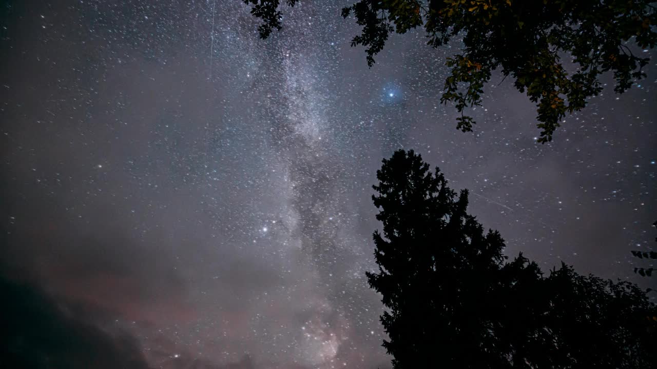 4k时间间隔惊人的星星在天空。从地面向下看。夜晚星空与发光的星星和流星轨道在树上。真正的彩色夜星。明亮的蓝色。延时，延时视频素材