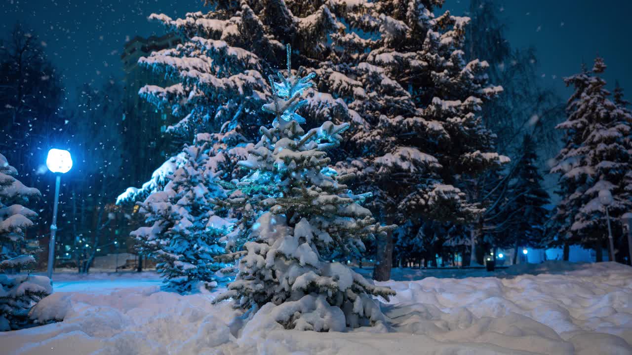 冬季景观与降雪，圣诞冬季美丽景观，cinemagraph，视频循环，美丽柔软的降雪视频素材