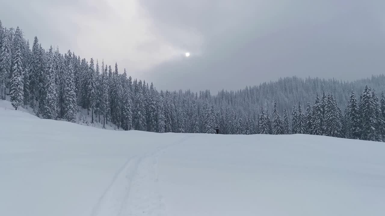 雪天的冬日夜景视频素材