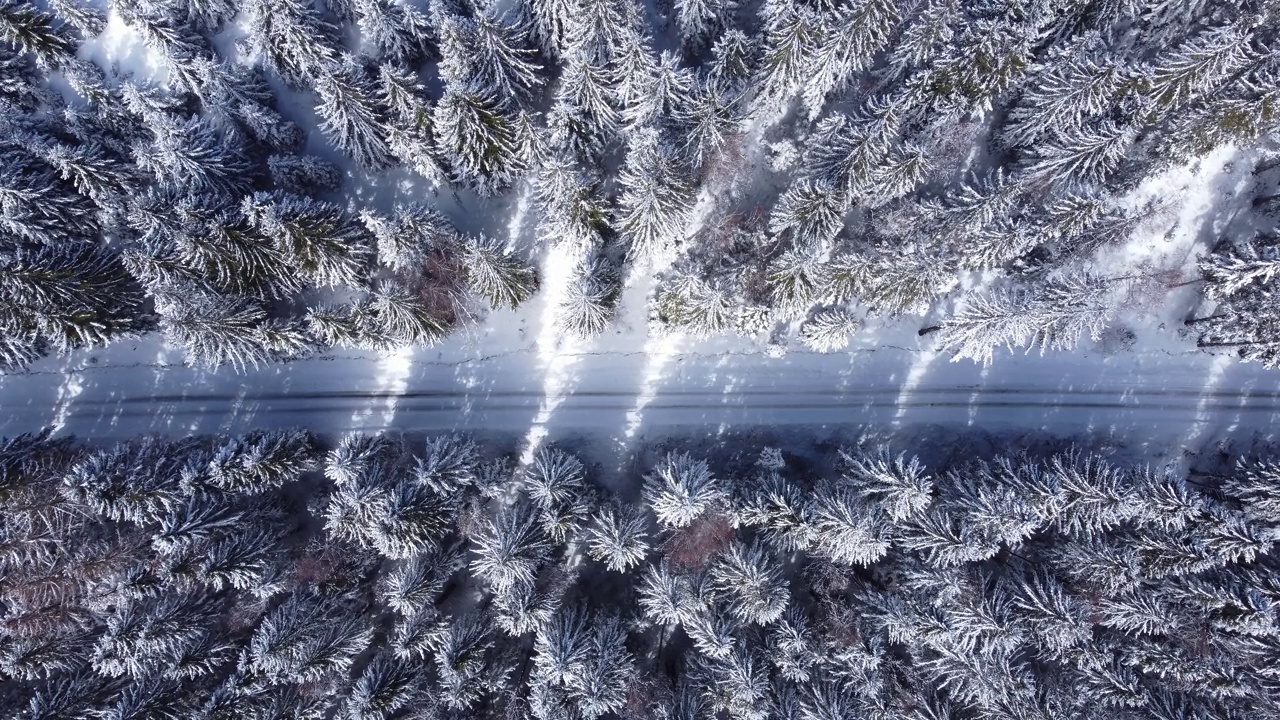 鸟瞰雪林与冬季山路。视频下载