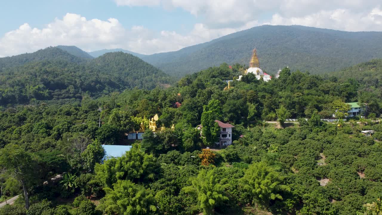 鸟瞰图的稻田景观山与地平线视频素材