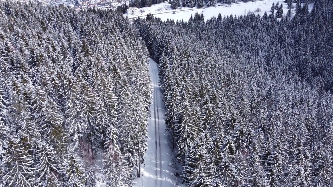 鸟瞰雪林与冬季山路。视频下载