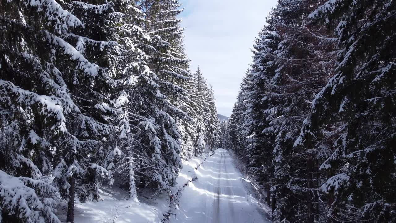 冬季山路上行驶的汽车。鸟瞰白雪皑皑的森林与道路。视频下载