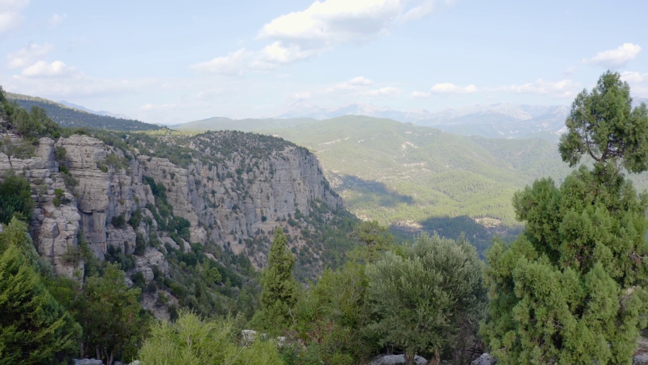 夏日绿色山谷的无人机鸟瞰图。视频素材