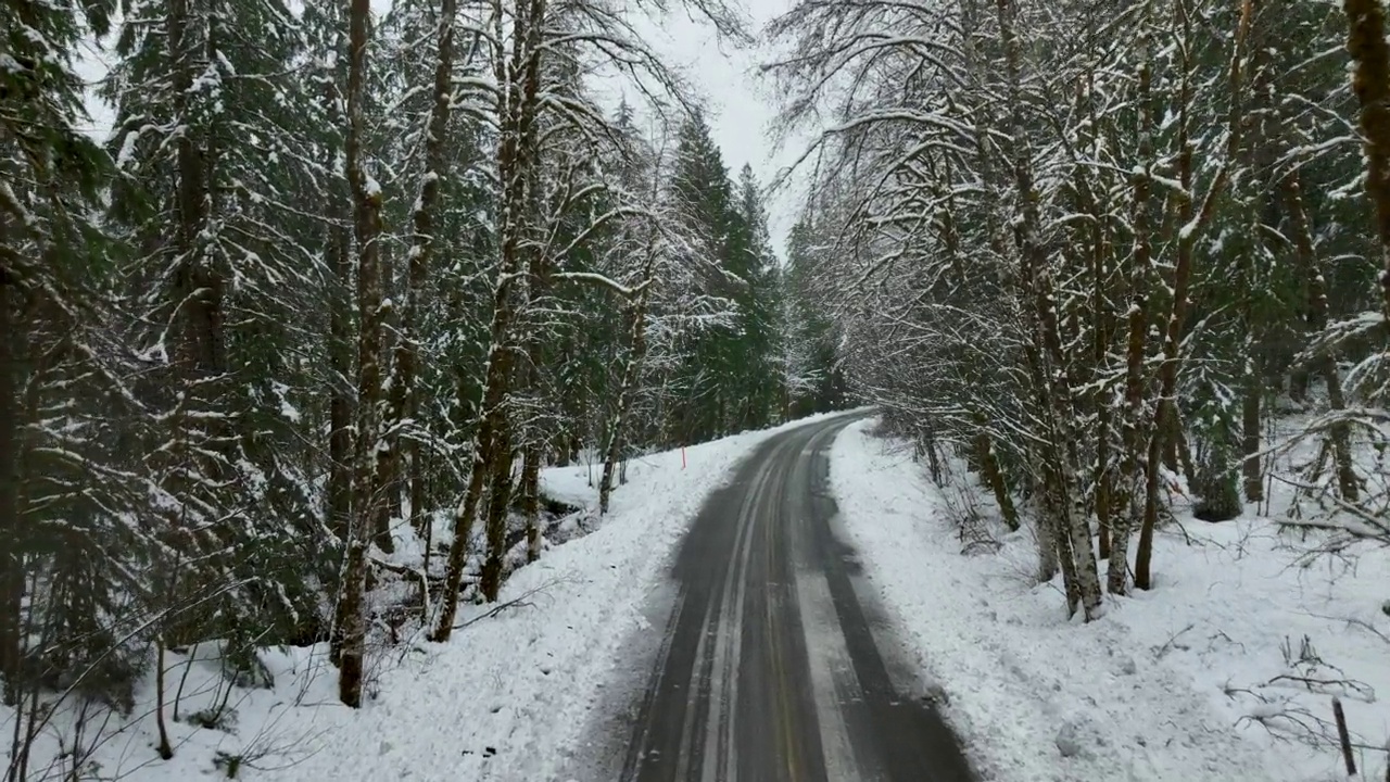 绿树成荫的山路上覆盖着新鲜的冬雪，没有汽车在空中行驶视频素材