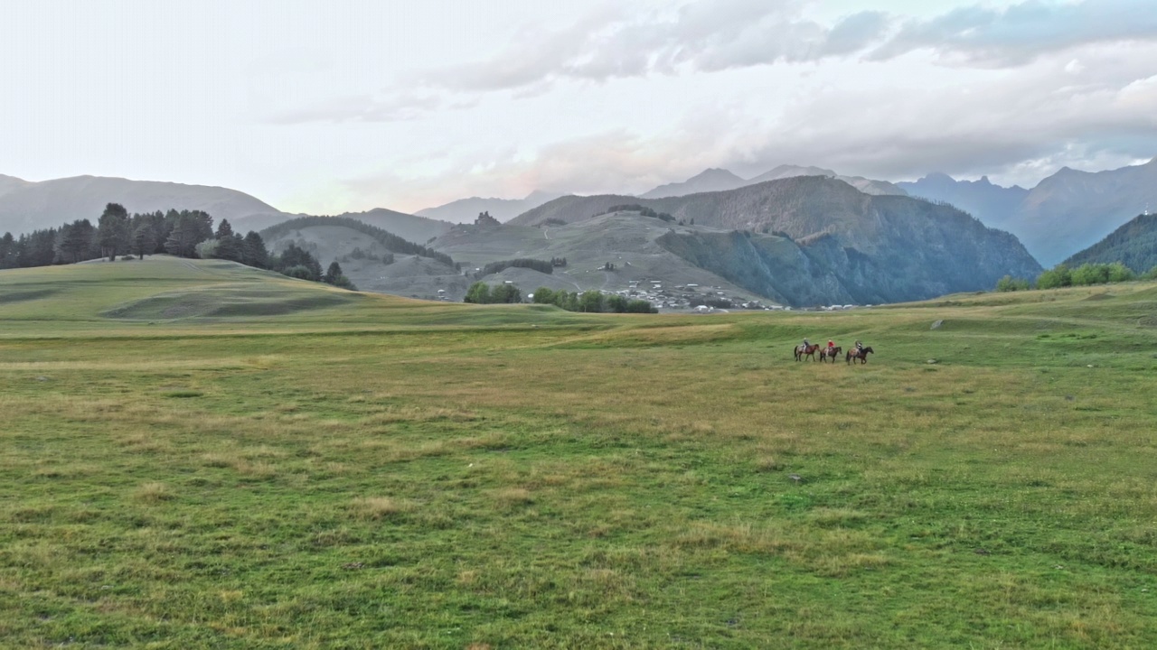 在格鲁吉亚高加索山区吃草的野马视频素材