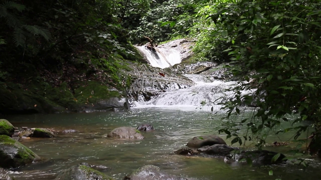 哥斯达黎加雨林中的大瀑布与岩石底土4k分辨率拷贝空间视频素材