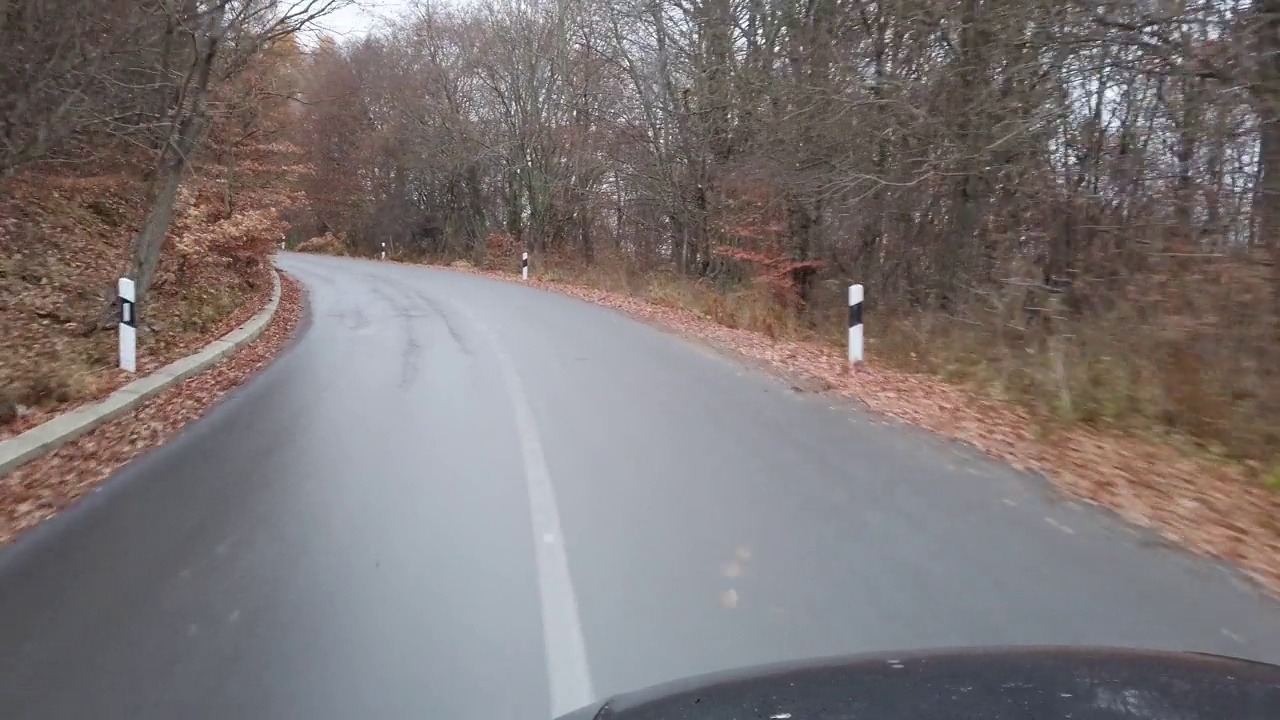 POV -驾驶在空旷的山路上，秋色缤纷的树木和雾，雾视频素材