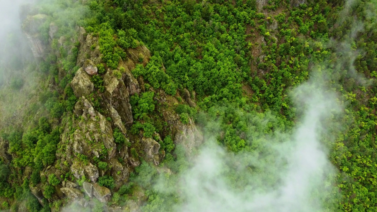 鸟瞰雾气缭绕的山间绿林，户外夏日旅游理念，原封不动的美丽环境，世界美丽自然背景下的生态系统视频素材