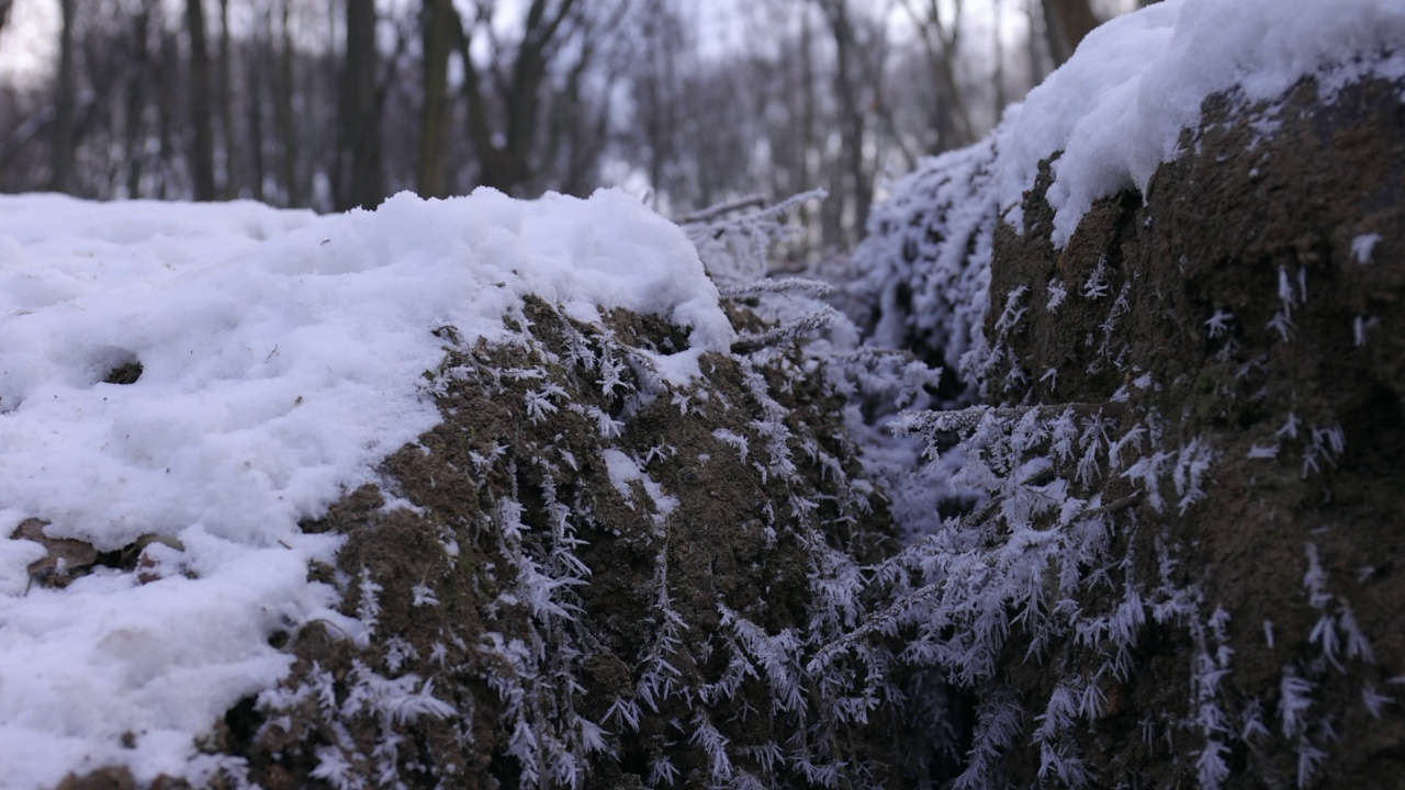 在冬天的小溪边，冰封的树枝和树叶变成了雪花视频素材