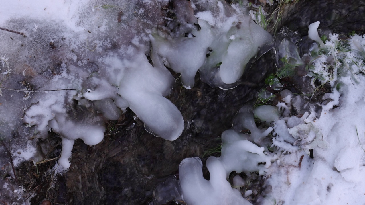 在冬天的小溪边，冰封的树枝和树叶变成了雪花视频素材