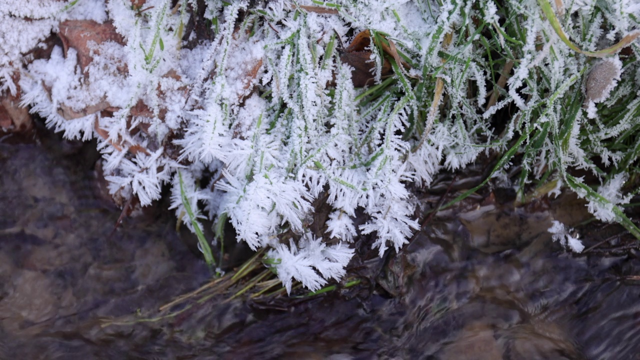 在冬天的小溪边，冰封的树枝和树叶变成了雪花视频素材