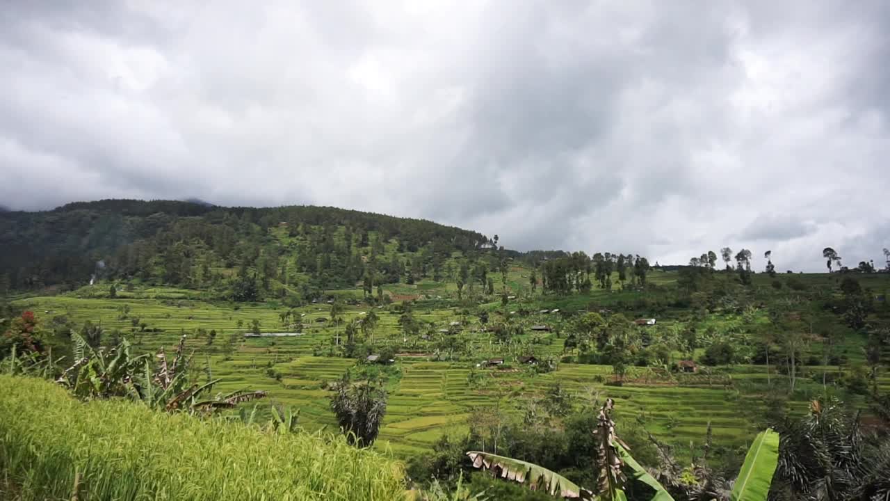 青山云天，美丽的稻田视频素材