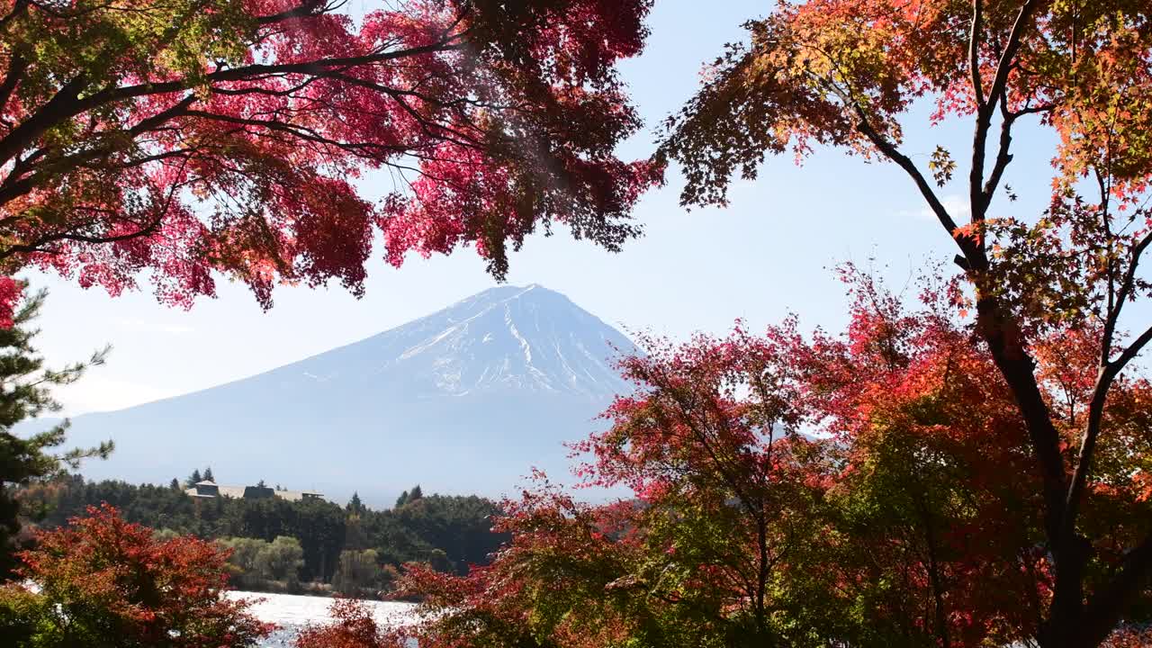 富士五湖的秋叶颜色:川口湖视频素材