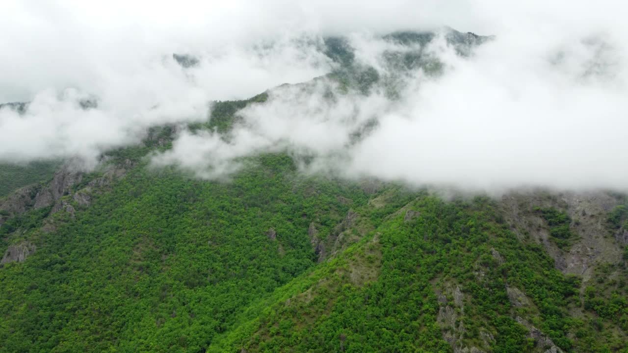 自然云山夏林晨雾树空中美景，到处走，土耳其视频素材