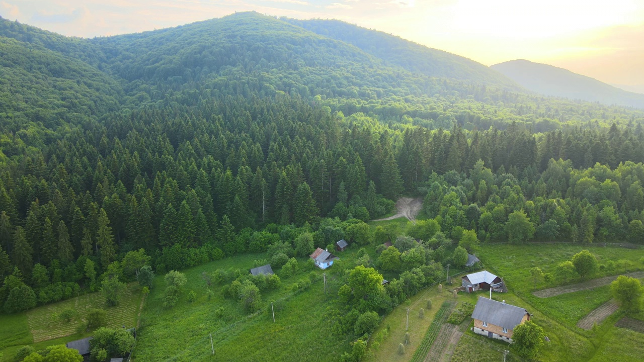 傍晚雾蒙蒙的鸟瞰图，在明亮的夕阳下，在高高的山峰之间的小山村的房子和深色的松林。黄昏时分野山林地的迷人景色视频素材