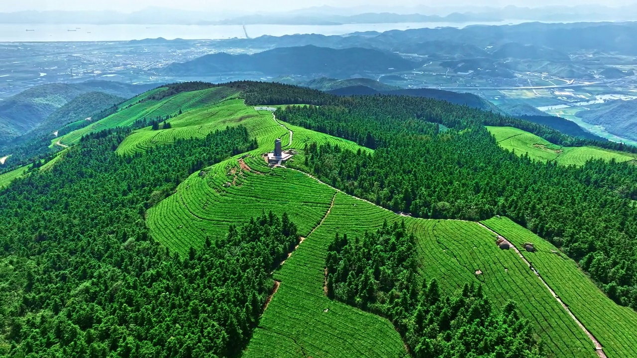 茶园和山景鸟瞰图视频素材