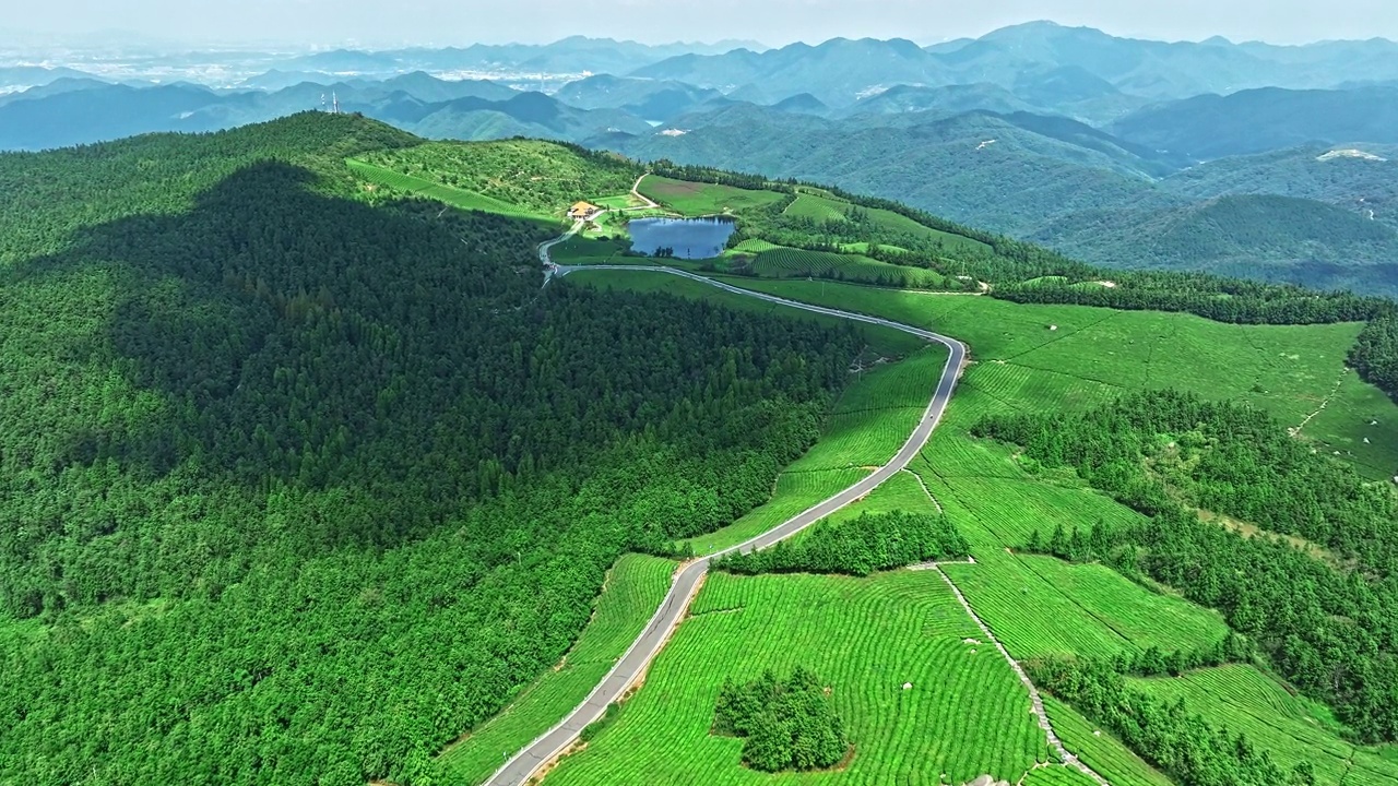 宁波青山茶园鸟瞰图视频素材