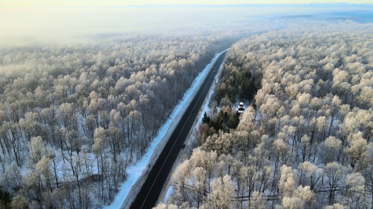 冬季景观鸟瞰图，积雪覆盖的森林和黑色沥青森林道路在寒冷的冬天视频素材