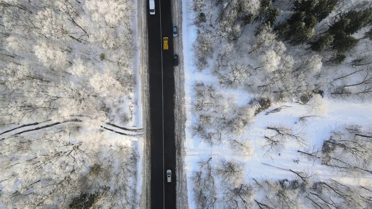 冬季景观鸟瞰图，积雪覆盖的森林和黑色沥青森林道路在寒冷的冬天视频素材