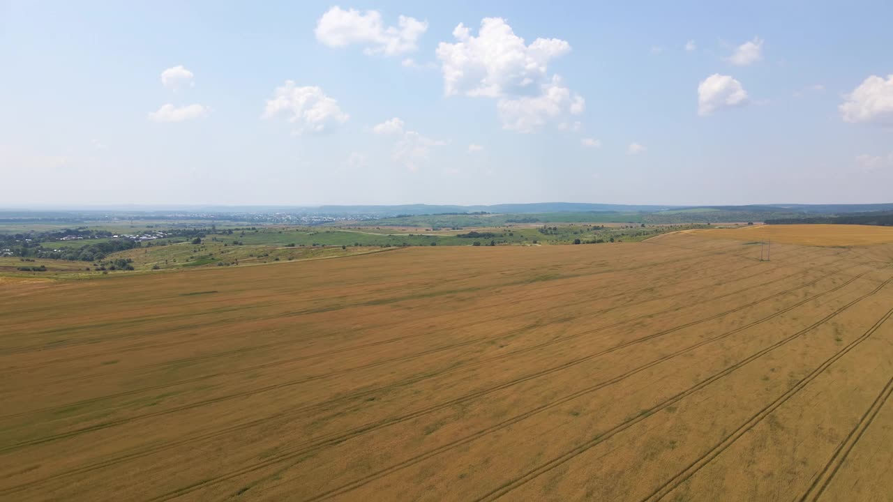 明亮的夏日，成熟小麦的黄色耕地的空中景观视频素材