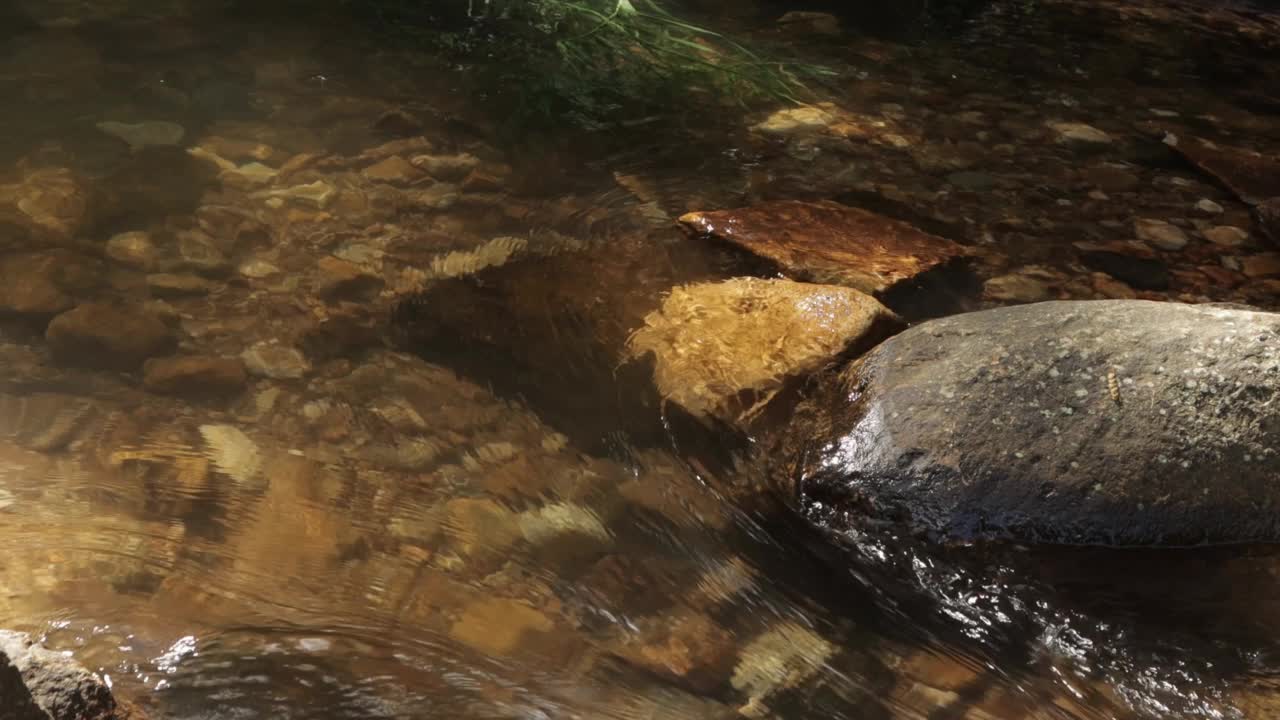 斯里兰卡河流中的流水视频素材