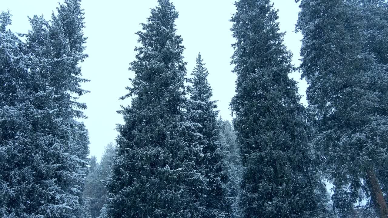 大雪覆盖了山林。美丽的冬季景观。视频素材