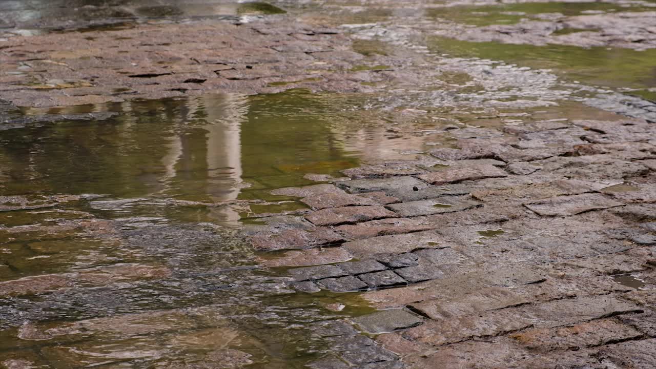 水沿道路突破流动。有选择性的重点。大自然。视频素材