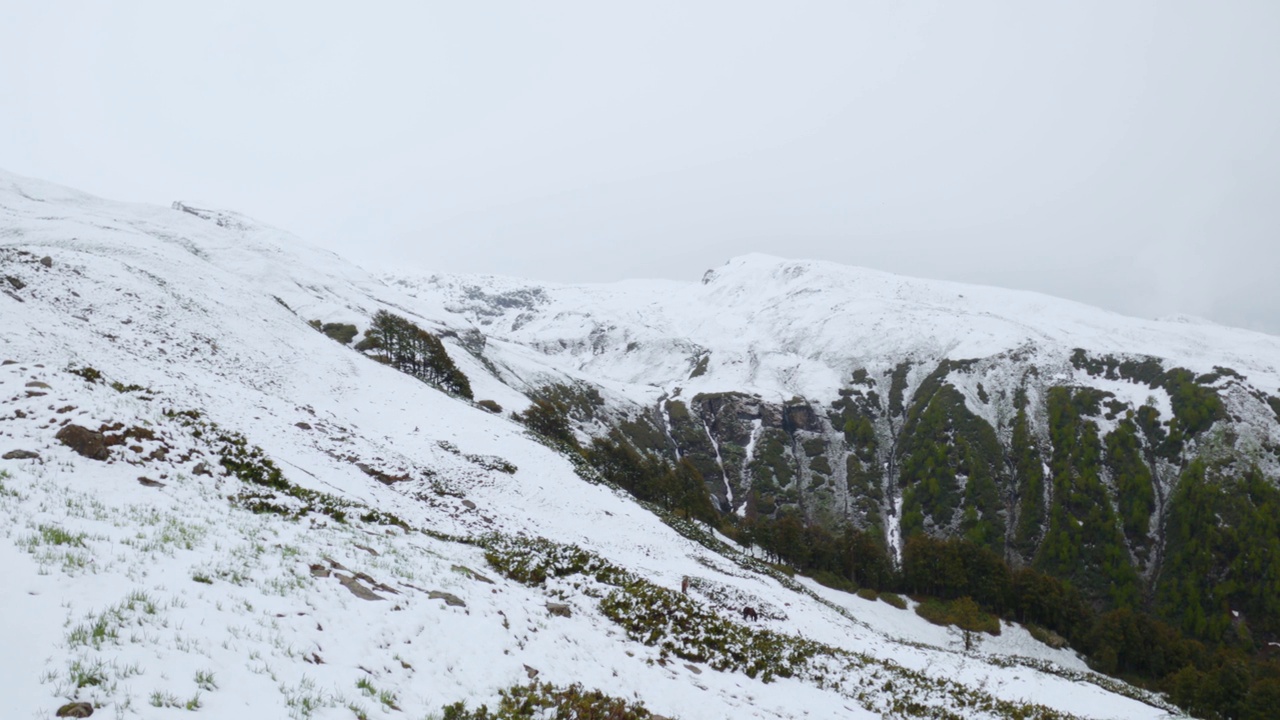 在印度喜马偕尔邦的马纳里，冬天下雪时喜马拉雅山脉上美丽的雪景。自然景观。马纳利的冬天。视频素材