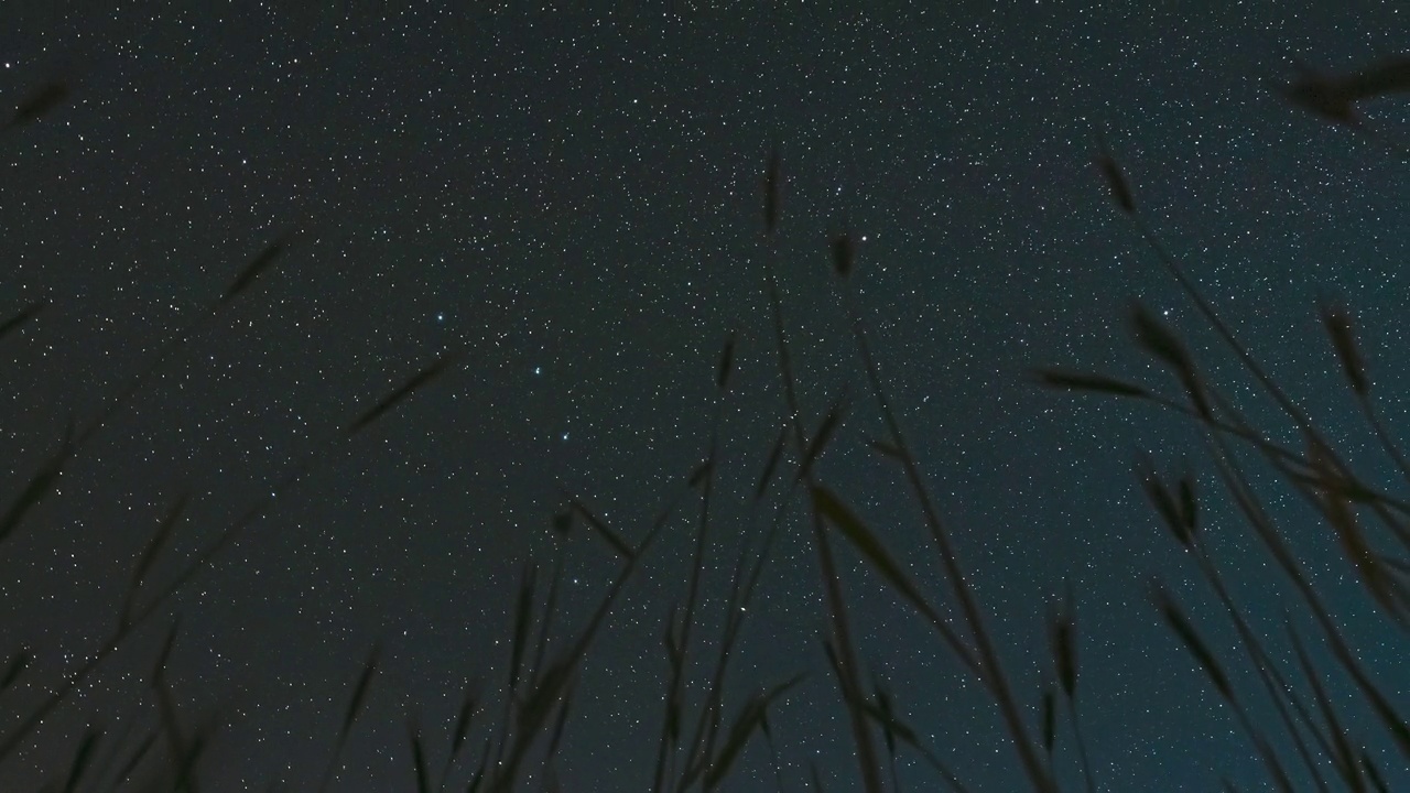 4K夜晚星空与发光的星星和流星轨道在夏季农业季节的年轻小麦芽上。旋转背景时间推移，时间推移，时间推移。底部视图。旋转运动视频素材