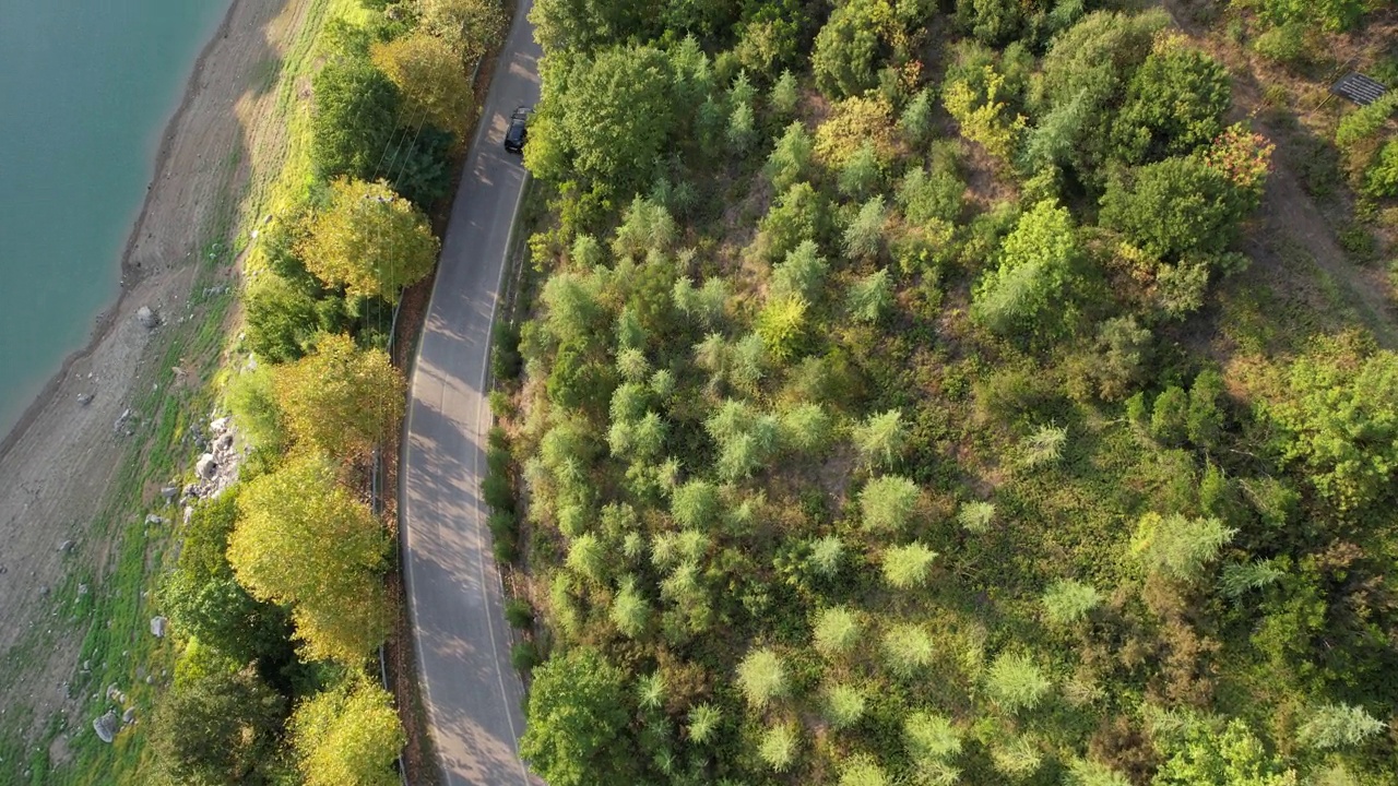 空中森林路视频素材