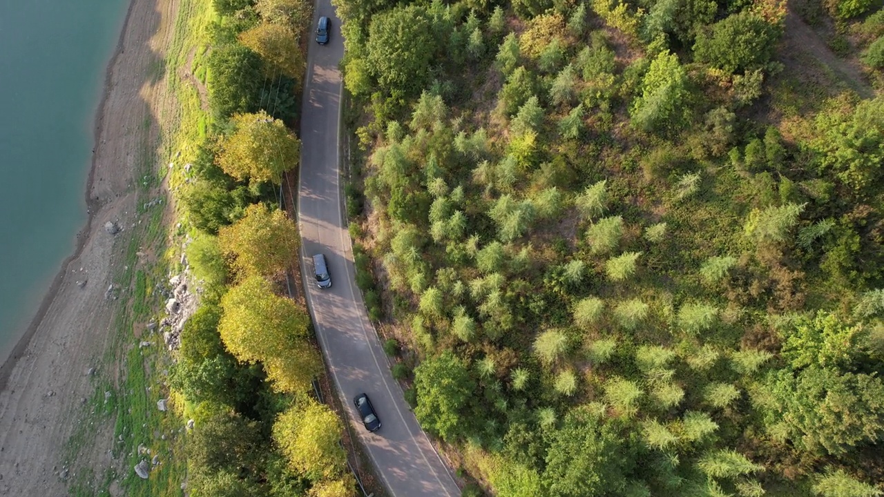 空中森林路视频素材