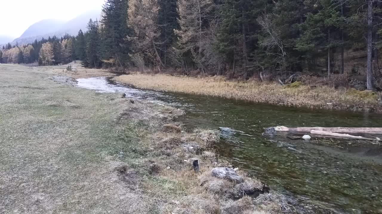 在初秋的早晨，一条小河的岸边有结霜的草的一小块空地。视频素材