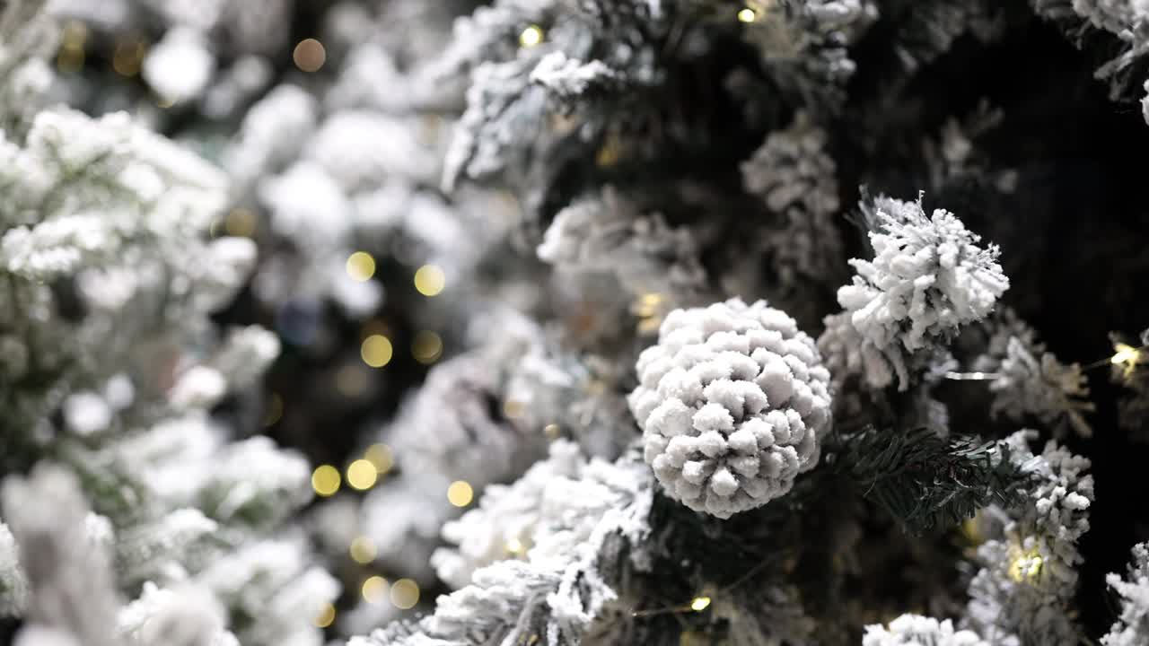 美丽的圣诞背景与圣诞树的雪和灯视频素材